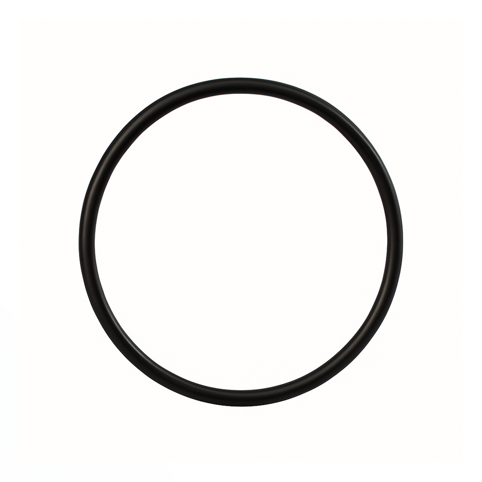 Standard O-Ring 151120