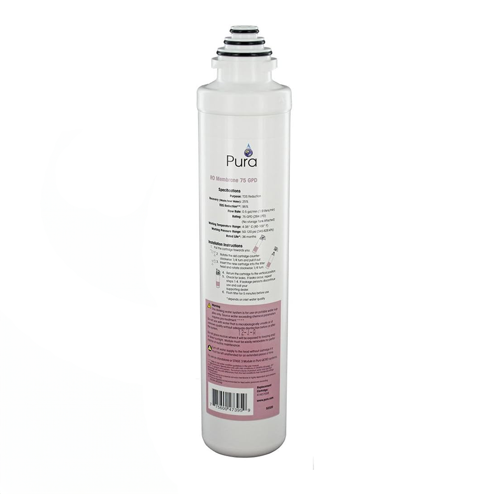 Aqua Flo & Pura Platinum Membrane Filter (41407005)