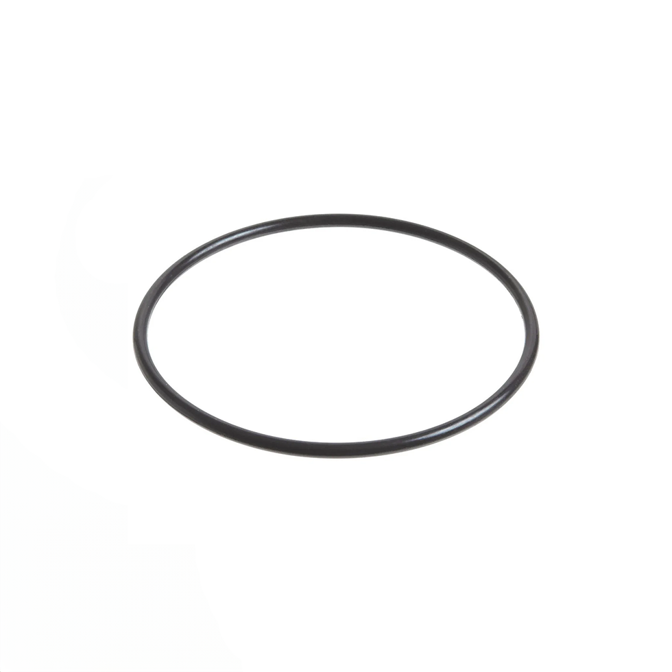 Viqua O-Ring OR40-50W for BB Housing