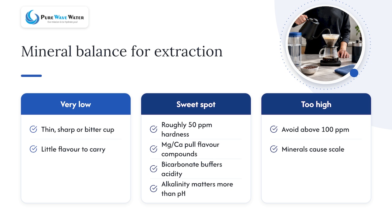 Minerals supporting coffee flavour extraction